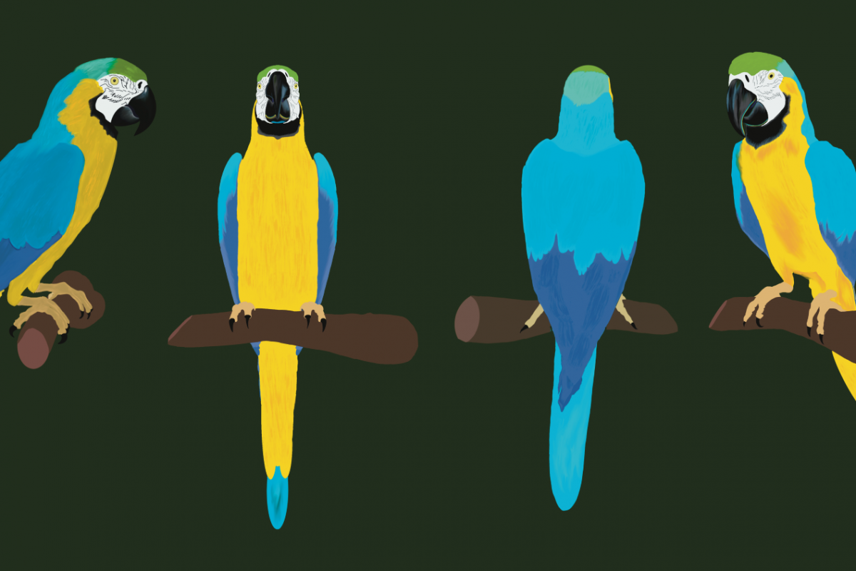 turn_around_character_small